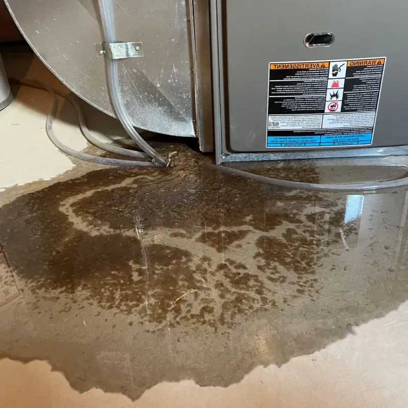Pipe Burst and Leak Restoration in Searcy, AR